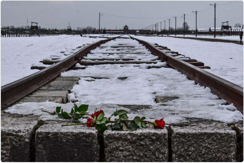 Red roses laid on snow-covered railway tracks as a symbol of remembrance